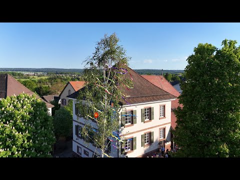 2025 04 30 Heimatverein Karlsbad Maibaumstellen