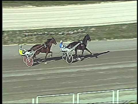 Trotto 01/11/2015 - prova di qualifica