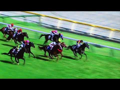 2018年 第68回 安田記念（G1）