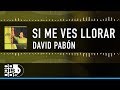 Si Me Ves Llorar, David Pabón -  Video Letra