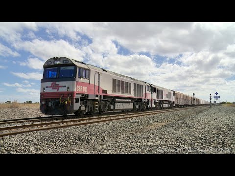 SCT 1PM9 Mixed Freight & Steel Train (7/2/2024) - PoathTV Australian Railways