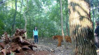 Download lagu GANTENG GANTENG SERIGALA EPISODE 463 mp3 Download lagu GANTENG GANTENG SERIGALA EPISODE 463 mp3