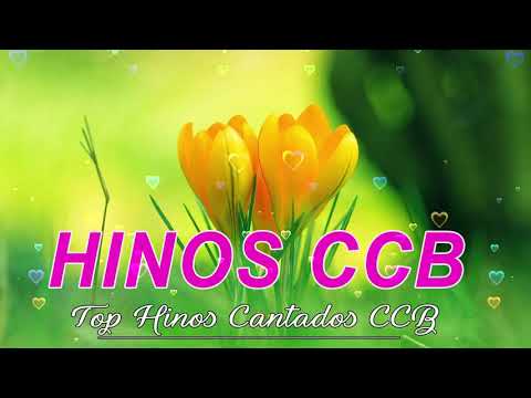 BELOS HINOS CCB 🌹 Hinário 5 🌷 Top Hinos Cantados CCB#