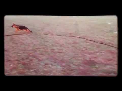 Nice classe 1 SG l'expo 4/6 chonpin Maroc