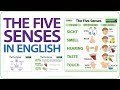 Five Senses in English - Sight Smell Hearing Taste Touch