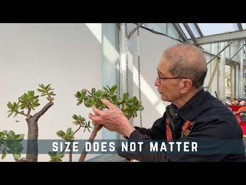 Size Does Not Matter