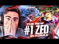 Everybody is TERRIFIED of the *NEW #1 ZED KOREA*