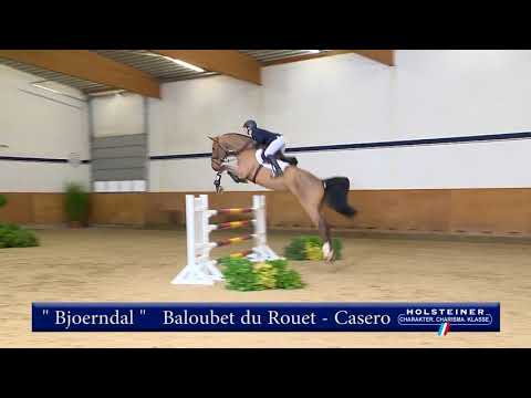100 | Bjoerndal v. Baloubet du Rouet - Casero