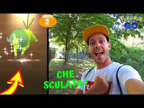 SHINY REGIONALE! SCHIUDO 9 UOVA DA 7 KM - POKÉMON GO ITA