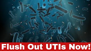 Flush it Away: How to Get Rid of a UTI Fast!