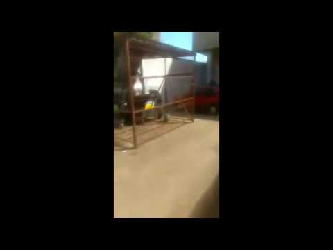 Tiger bonzo "Coś mi wpadło" śmieszna historia. Benc.