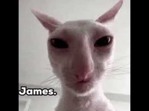 I Escaped Evil Larry And This Happened