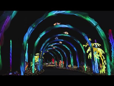 Cleveland Metroparks Zoo extends 2025 Asian Lantern Festival through mid-September