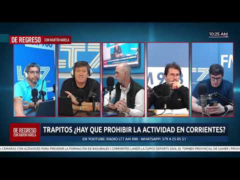 Fuerte tormenta y granizada en la zona de Lavalle: charlamos con el Intendente Hugo Perrota