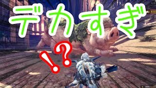 【MHW】正月に最強のモスに轢かれる暇人たち