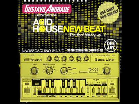 ACID HOUSE NEW BEAT - The Final History Vol.10 (It is not mixed)