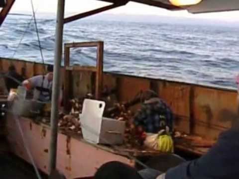 Bluff oyster boat '06'