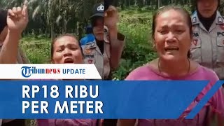 Viral Video Seorang Ibu Nangis Minta Tolong Jokowi, Lahan Sawit 5 Hektar 'Diganti' Semangkok Bakso
