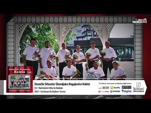 ORKESTAR SLAVOLJUBA BOGOJEVICA KALETA - NAD IZVOROM VRBA SE NADNELA