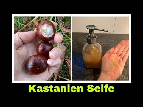 Kastanien Flüssigseife mit Lorbeer | Rosskastanien Seife selber machen | Selbstversorgung