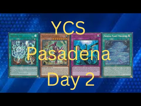 Yu-Gi-Oh! Magnificent Mavens/YCS Pasadena Market Watch 11/6/2022