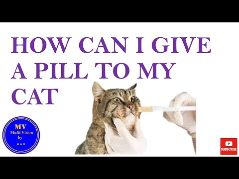 HOW CAN I GIVE A PILL TO MY CAT