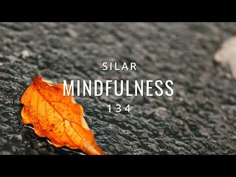 Mindfulness Episode 134 (Organic House / Melodic House)