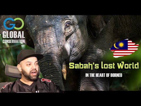 Sabah's Lost World - In the Heart of Borneo Reaction | Malaysia Reaction | MR Halal Reacts