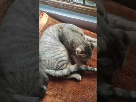 Masha allah cute sister and brother 💕💜❣😇😻