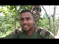 Bihar Forest Guard Duty Bihar Police Forest Guard Bihar Forest Guard Bihar Forest Police