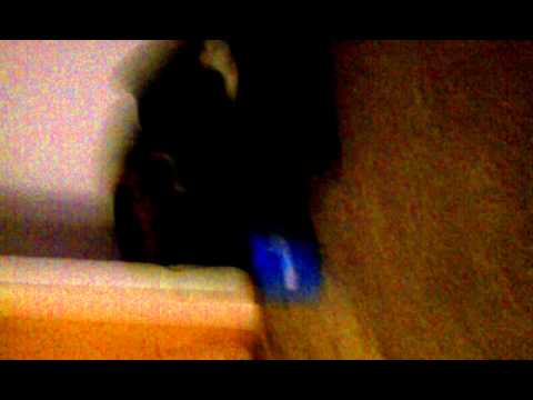 Pj TrIpPiN liKe a mUThaFuCcA... lOl