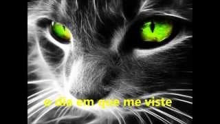 musica caetano veloso verdura