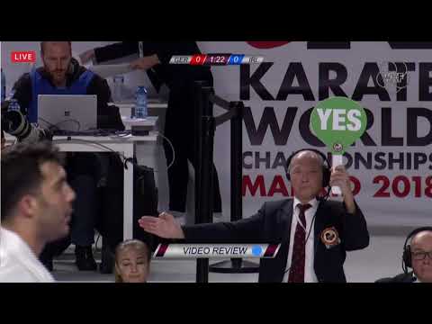 Sajad Ganjzadeh vs. Jonathan Horde (GER): Final. World Karate Championships 2018, Madrid