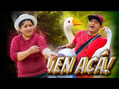 Me Vendieron PATOS FALSOS por Gansos y Esto Pasó