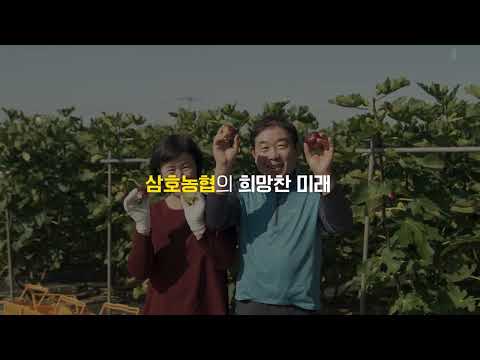 삼호농협 50주년 공식 홍보영상