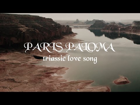 Miniatura de ​triassic love song