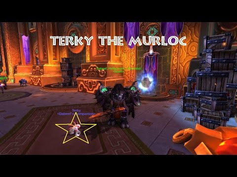 How to find Terky the Murloc