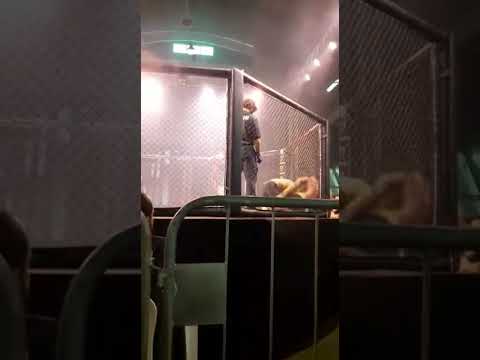 Francis x Adriano trator