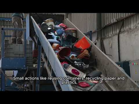 Global Recycling Day: Why It Matters & How You Can Help ♻️🌎