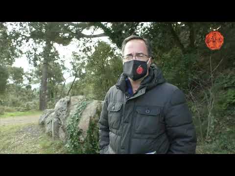 Protocols Pelegri 2021