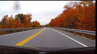 Incredible Fall Drive Through Algonquin Park | Peak October Fall Colors