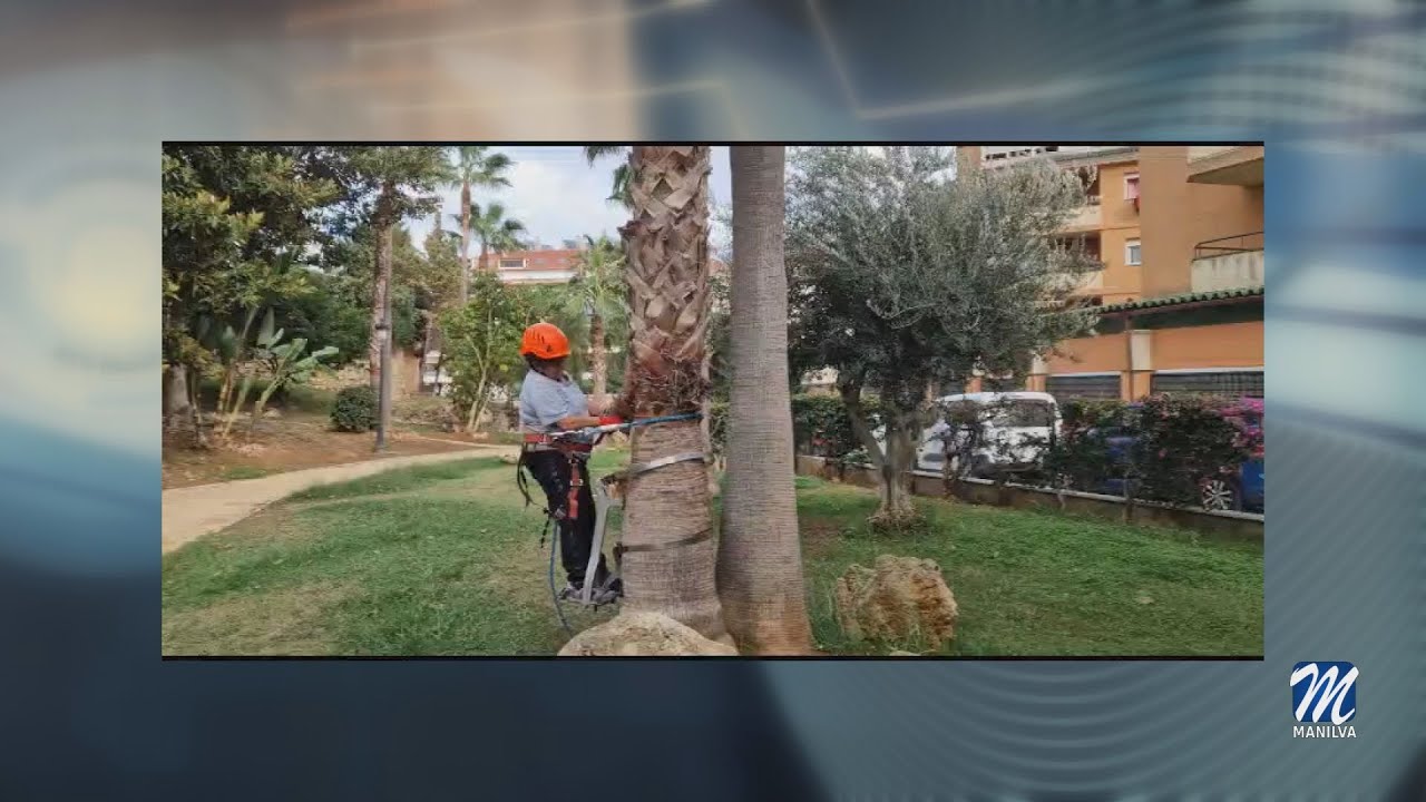 Ayer finalizaba el curso de poda ornamental