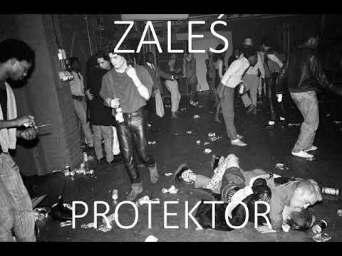 Zaleś - Protektor
