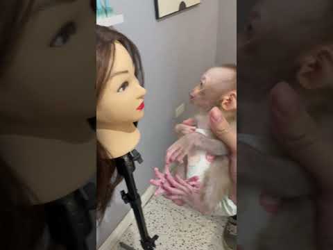 monkey is scared 😅😅😅😅😅 #animals #baby