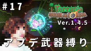 【テラリア】一級建築士が1.4.5を冒険 / アプデ武器縛り #17【Terraria / 配信 / 実況】