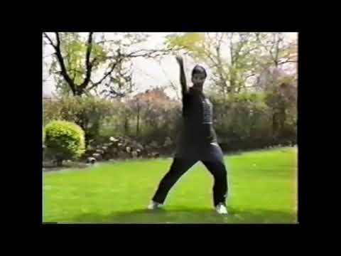 8 Drunken Immortals Kung Fu