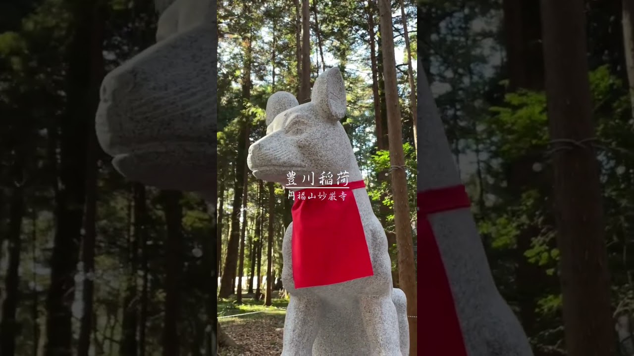 YouTube Short thumbnail