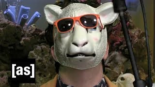 Dr. Dog &quot;Heart Killer&quot; | FishCenter | Adult Swim