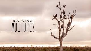 Jeremy Loops - Vultures video