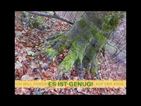 GEISTHEILER SANANDA: WILLENSERKLÄRUNG UND WIEDERERLANGUNG DER MACHT. 480p